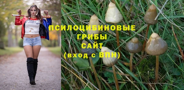 spice Мегион