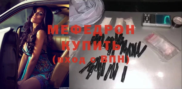 индика Медвежьегорск