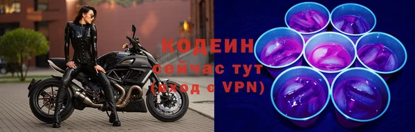 индика Медвежьегорск