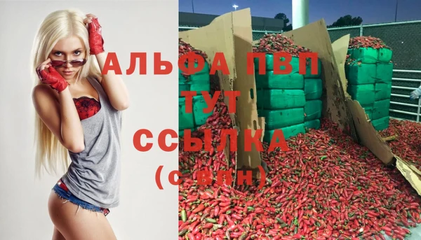 spice Мегион