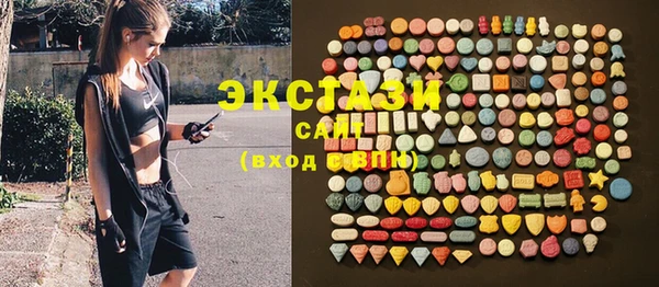индика Медвежьегорск