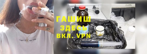 индика Медвежьегорск