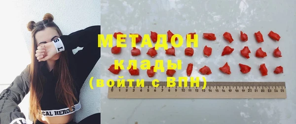 индика Медвежьегорск