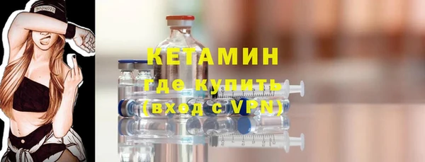 индика Медвежьегорск