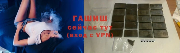 индика Медвежьегорск