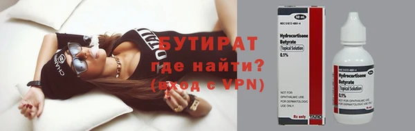 индика Медвежьегорск