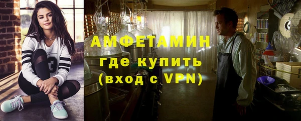 индика Медвежьегорск