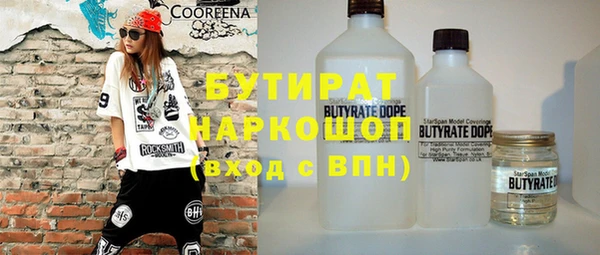 индика Медвежьегорск