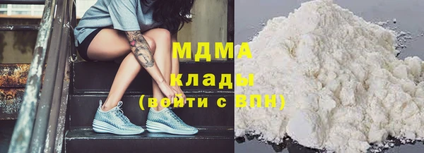 индика Медвежьегорск