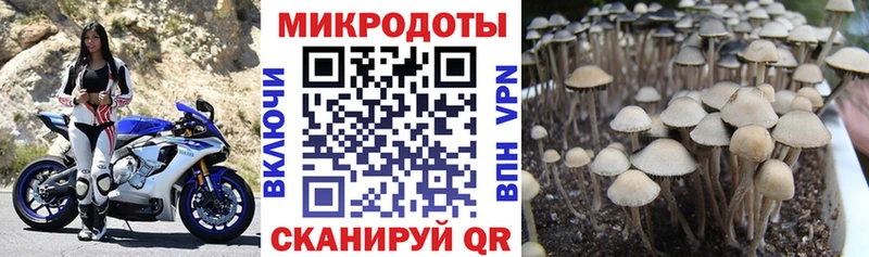 Галлюциногенные грибы прущие грибы  гидра   Тырныауз 