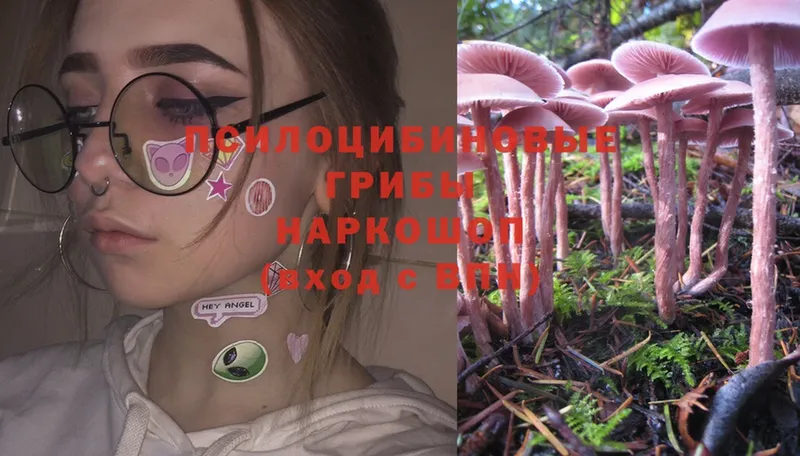 Галлюциногенные грибы Magic Shrooms  как найти закладки  Тырныауз 